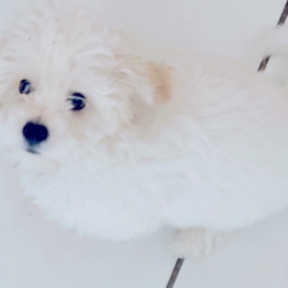 hey - Picture 1 of 1